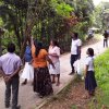 Dengue_080620